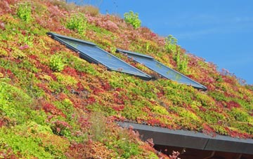 North Baddesley living roof systems